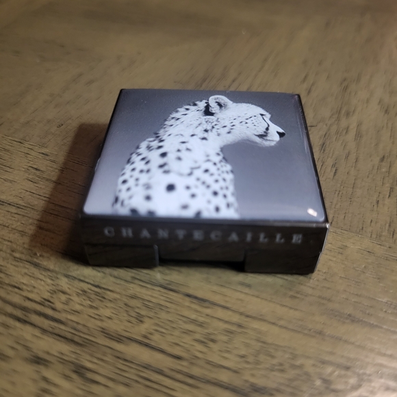 Chantecaille Feather Design Eyeshadow - Radiant Gold - Picture 7 of 7